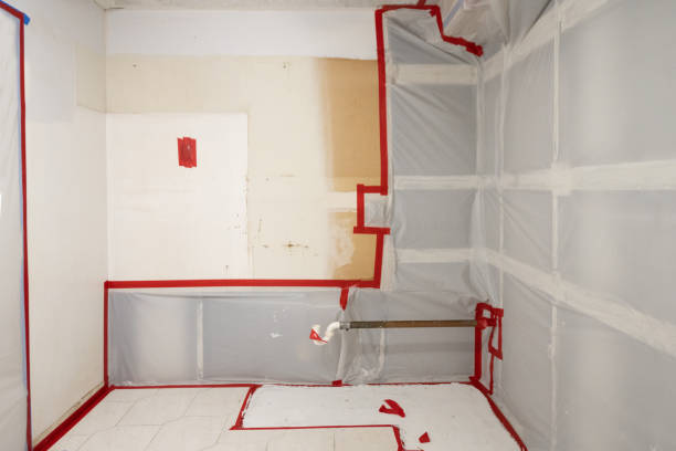 Reliable Fairmount, NY Mold Removal Solutions