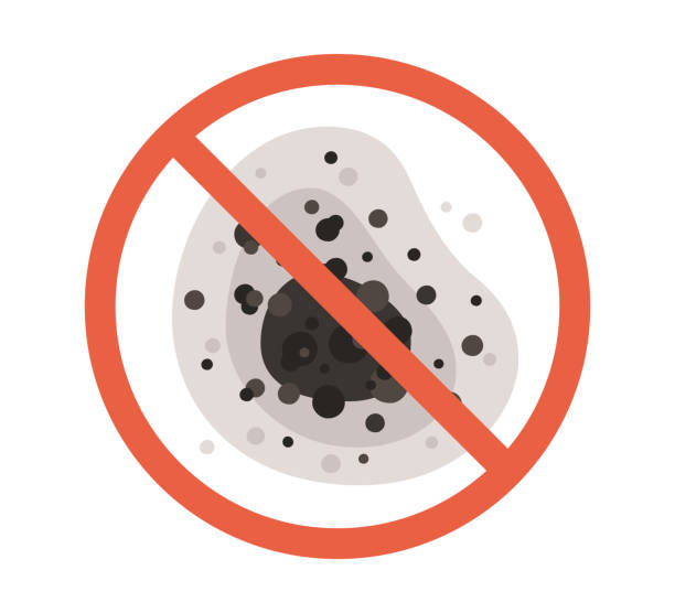 Best Real Estate Mold Inspection  in Fairmount, NY