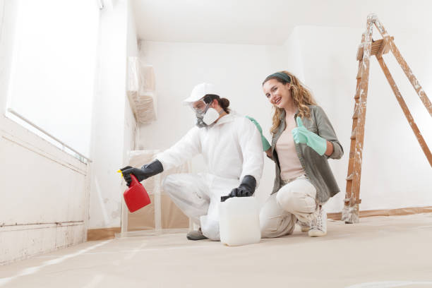 Best HVAC Mold Inspection and Cleaning  in Fairmount, NY